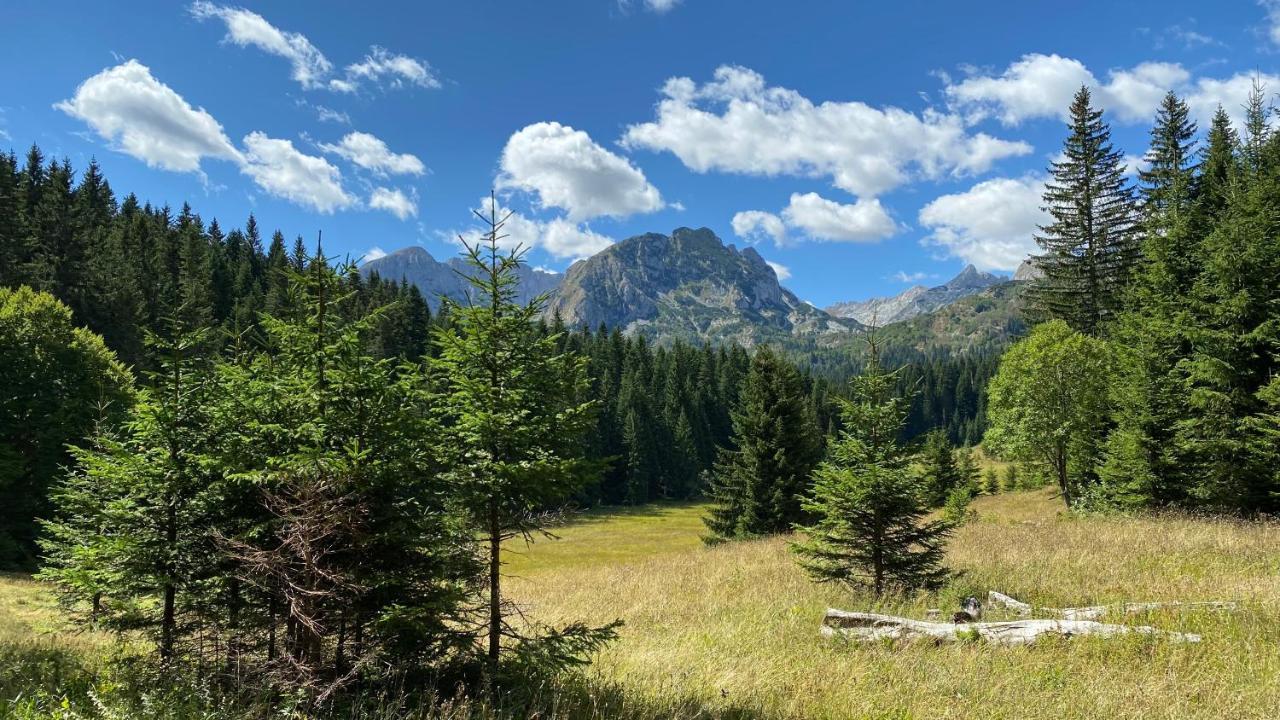 Vista Pitomine Villa Zabljak  Exterior photo